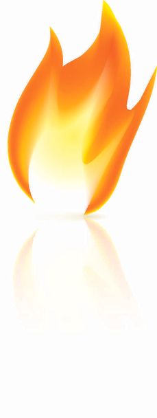 Fire icon on white background. Vector illustration - Vector, afbeelding