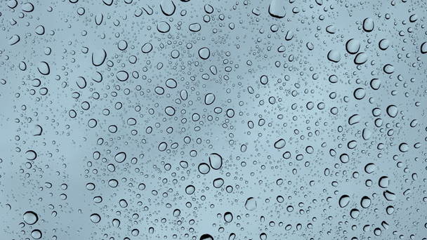 Gros plan de gouttelettes d'eau sur un verre, sous la pluie. Grandes gouttes de pluie tombent sur une vitre 4K
. - Séquence, vidéo