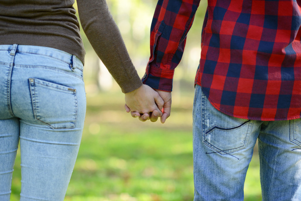 Couple holding hands and walking in park - Foto, Imagen