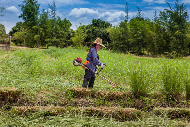 фермер займається газонокосаркою
 - Фото, зображення