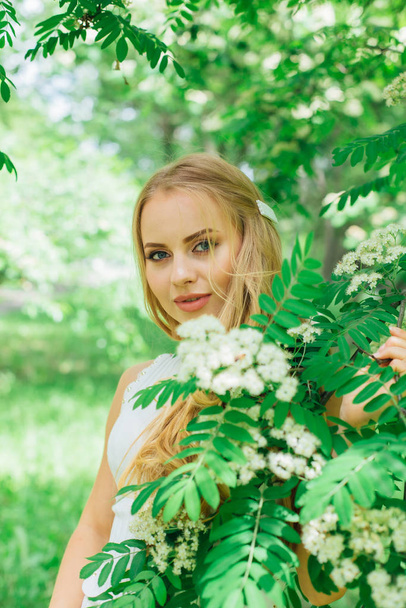 Portrait of a charming blond woman wearing beautiful white dress standing next to rowan tree with white flowers. - Fotografie, Obrázek