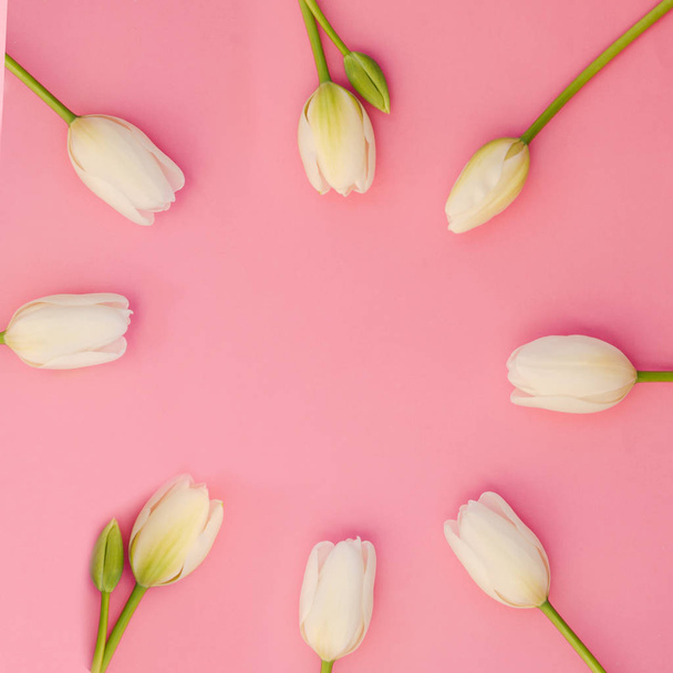 Tulip flowers on pink paper background. - Valokuva, kuva