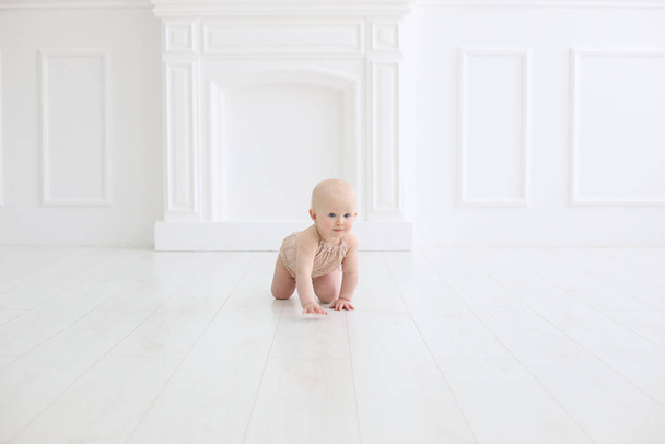 horizontal photo of a crawling baby - Fotografie, Obrázek