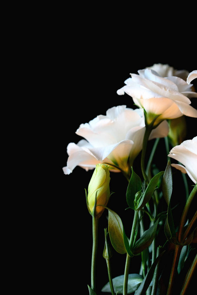 Bouquet da sposa primo piano di fiore di lisianto bianco su ba isolata
 - Foto, immagini