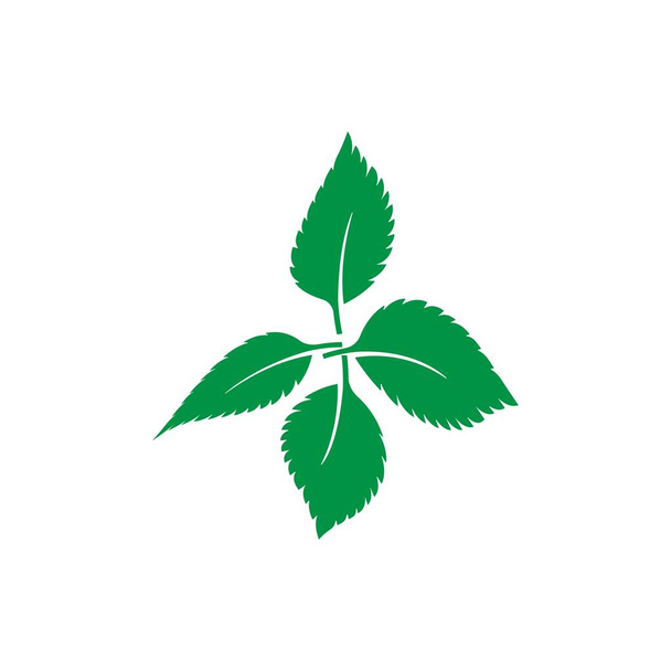 mint leaf logo  - Vector, Image