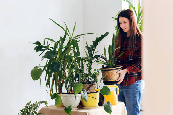 Mid adult woman planting on table at home Concept houseplants at - Fotó, kép
