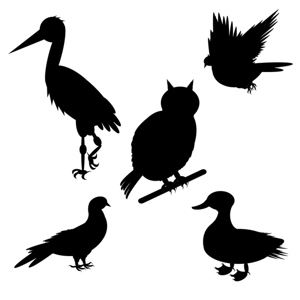Monochrome silhouettes of different species of birds - Vektör, Görsel