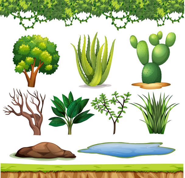 Набор небольших растений без цветов на белом фоне
 - Вектор,изображение