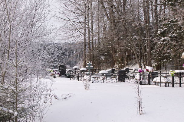 ländlicher Friedhof im Winter abends raues Klima alte Bäume Metallzäune - Foto, Bild