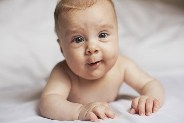 Close up portrait, newborn baby boy - Valokuva, kuva