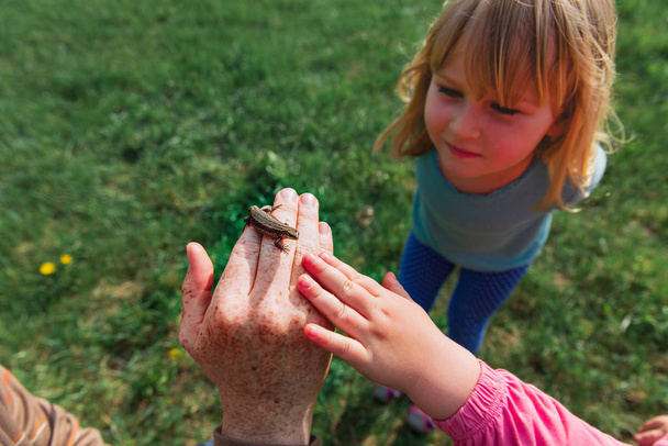 Kinder lernen - Kinder betrachten und erforschen Eidechsen in der Natur - Foto, Bild