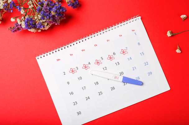Periods calendar for checking menstruation days on red background. Medical, healthcare, gynecological concept. Positive pregnancy test with circling date in calendar. Planning of pregnancy, trying to  - Photo, Image