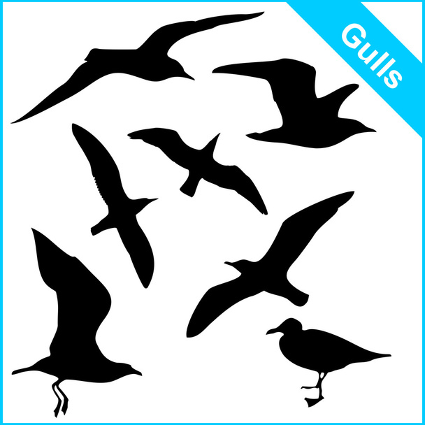 Siluetas vectoriales de gaviotas marinas en varias poses
 - Vector, imagen