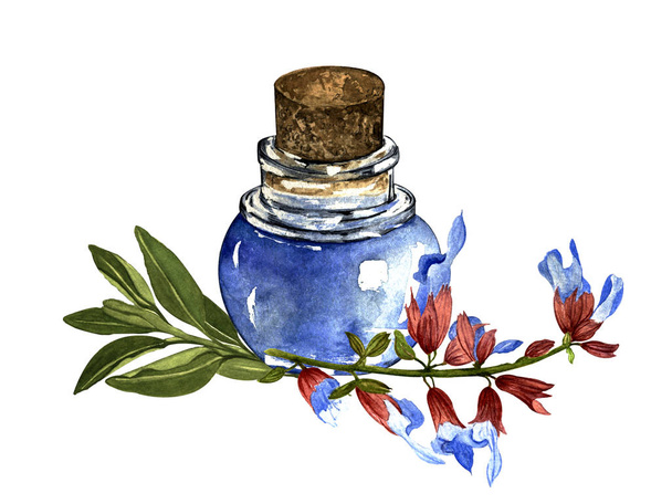 watercolor illustration. hand painted. bottle with essential oil and lavender branches with leaves and flowers on a white background. - Photo, image