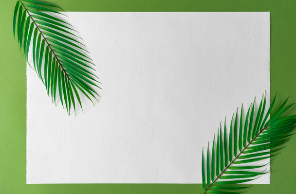 Fondo tropical de colores brillantes con exóticas hojas de palma tropical sobre papel vacío. Concepto de verano mínimo creativo
 - Foto, imagen