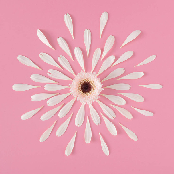 Composition créative de fleurs blanches avec pétales sur fond rose, concept Flowerscape
  - Photo, image