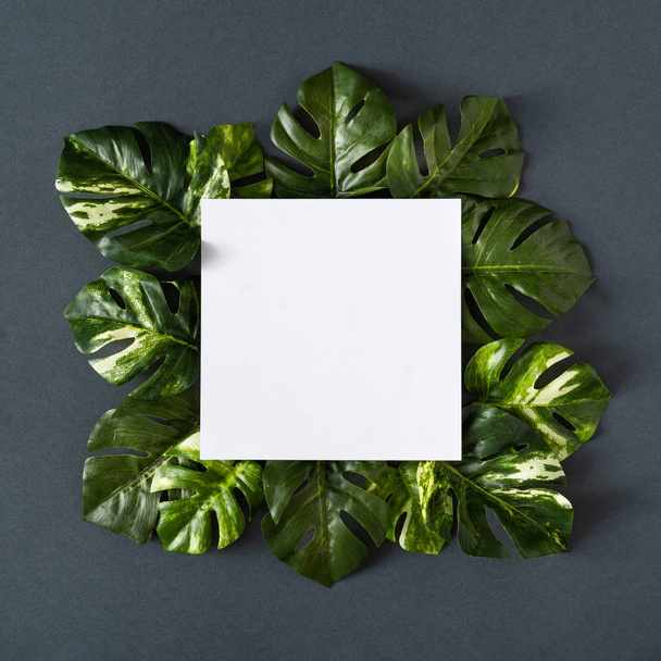 nota de la tarjeta de papel vacía con hojas de monstera verde sobre fondo gris. Primavera temporada concepto mínimo
   - Foto, Imagen