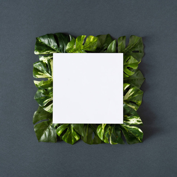 üres papír jegyzet zöld monstera levelek szürke háttér. Tavaszi szezon minimális koncepció   - Fotó, kép