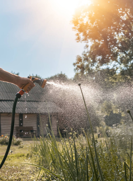 Watering garden equipment - hand holds the sprinkler hose for ir - 写真・画像