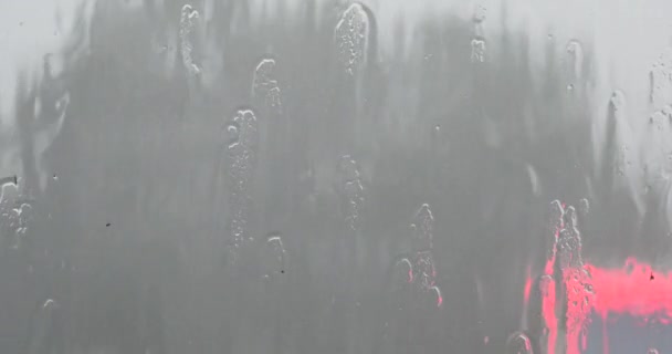 木の揺れる 4 の k ウィンドウ雨滴. - 映像、動画