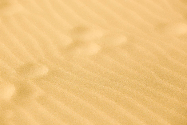 Közelkép a homok háttér textúra. - Fotó, kép