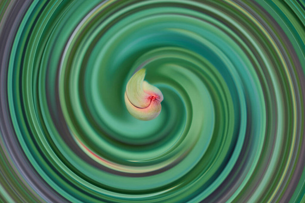 Modèle abstrait entonnoir. Tourbillon, spirale, motif multicolore comme fond. - Photo, image