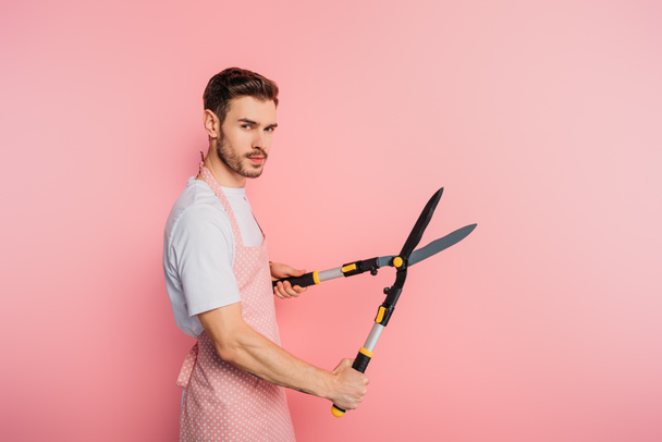serious young man in apron holding gardening scissors on pink background - Photo, Image
