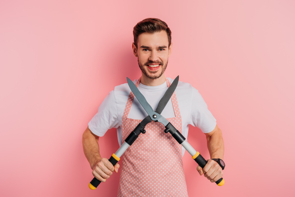 cheerful young man in apron holding gardening scissors on pink background - Foto, immagini