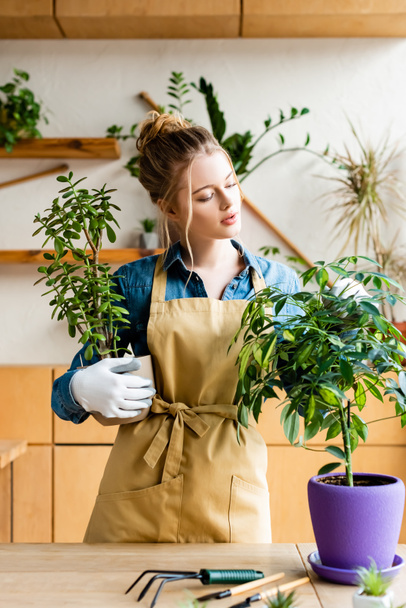 エプロン保持植物とフラワーポットの美しい女性  - 写真・画像