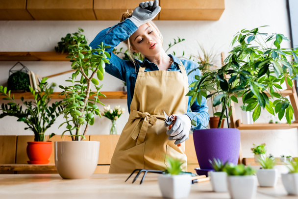 foco seletivo de mulher jovem cansada em luvas tocando na testa enquanto segurando tesoura de jardinagem perto de plantas
  - Foto, Imagem