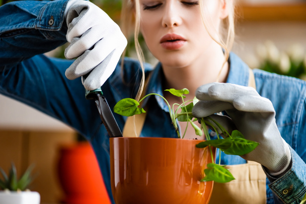 Selektiver Fokus der jungen Frau in Handschuhen, die eine kleine Schaufel hält, während sie Pflanzen im Blumentopf pflanzt  - Foto, Bild