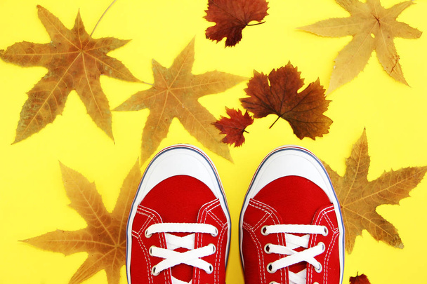 červená tělocvična boty tenisky s bílými tkaničky na žlutém pozadí s oranžovými podzimními listy - Fotografie, Obrázek