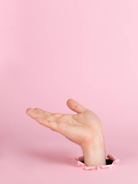 Male hand sticks out of a hole in paper, on a pink background. Indicates a sign, copy space. - Фото, зображення