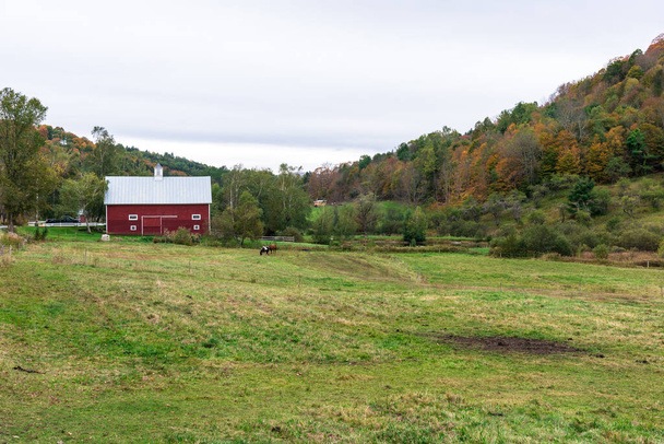 Maatila, jolla on perinteinen punainen puinen lato ja hevoset laiduntavat pellolla pilvisenä syyspäivänä
 - Valokuva, kuva