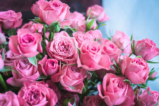 buquê de rosas rosa em um fundo azul. Buquê de belas rosas cor-de-rosa no Dia dos Namorados. rosas bonitas para o feriado. rosas bonitas para um aniversário. subiu como fundo
 - Foto, Imagem