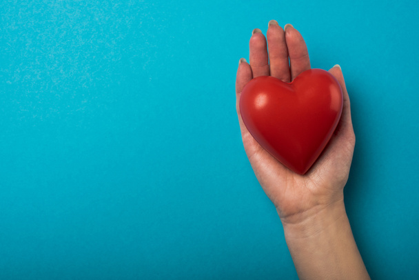 Top view of woman holding decorative red heart on blue background, world health day concept - 写真・画像
