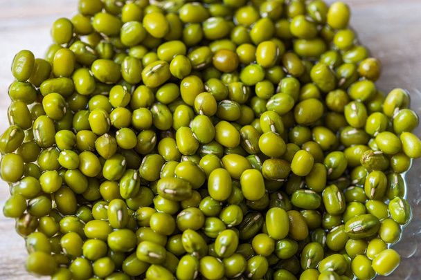 Sprouts of mung bean, germination of seed sprouts for nutrition, a raw food diet and vegetarianism - Photo, Image