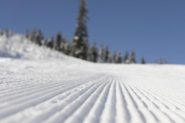 Fresh groomed snow on ski slope at ski resort on a sunny winter day. snow groomer tracks on a mountain ski piste. snowy spruces in the background - Fotoğraf, Görsel