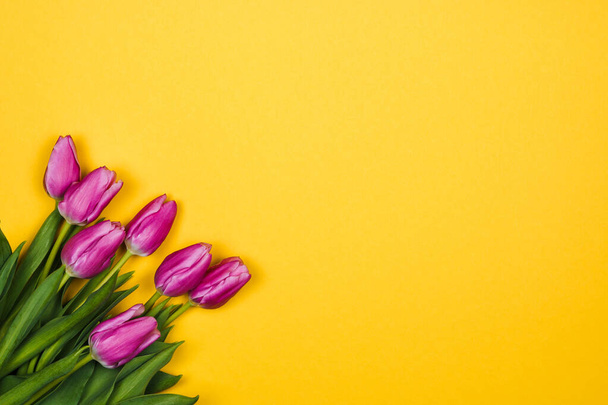 pink, purple tulips in corner on yellow background with copy space - Zdjęcie, obraz