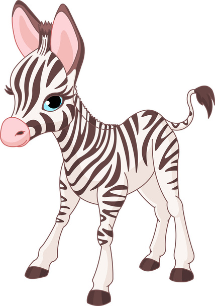 Cute Zebra Foal - Vektör, Görsel