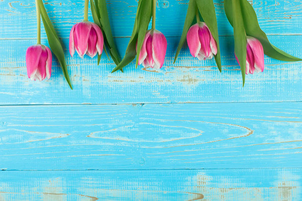 Różowy kwiat tulipan na niebieskim tle tabeli drewna z miejsca na ksero  - Zdjęcie, obraz