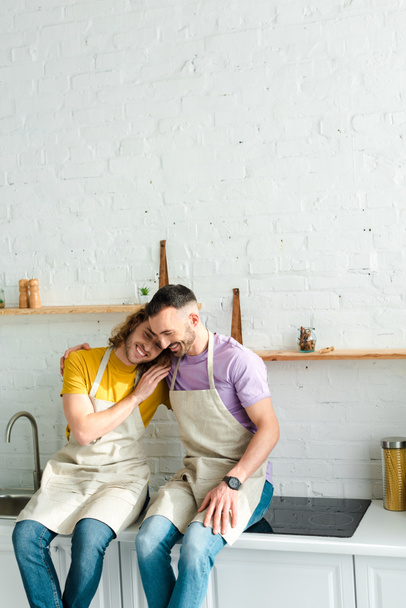 happy homosexual men in aprons smiling in kitchen  - Photo, Image