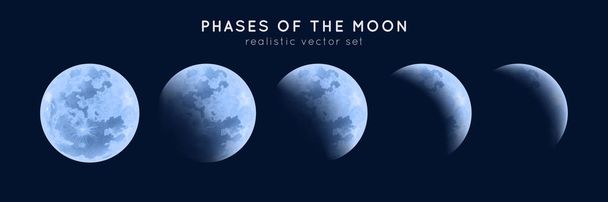 Realistic phases of the moon. - Vector, Image