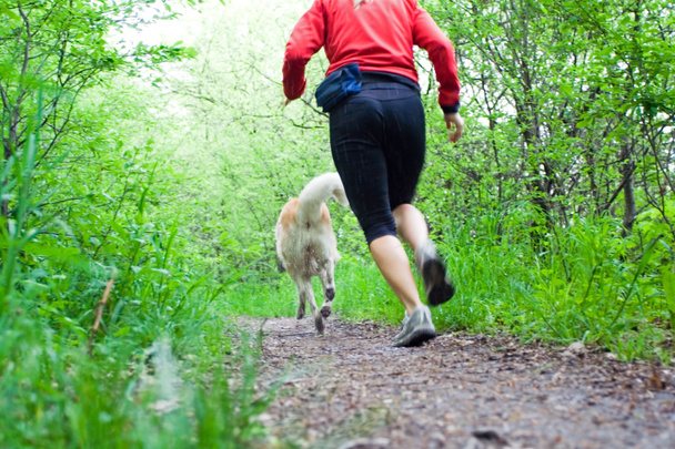 Courir en forêt avec chien
 - Photo, image