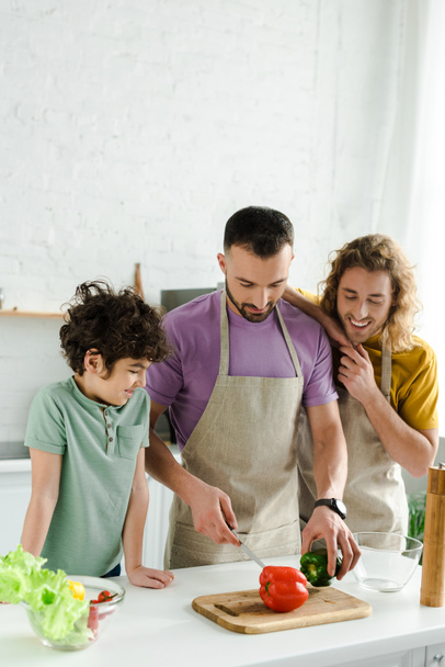 homosexual men cooking near happy mixed race son  - Photo, Image