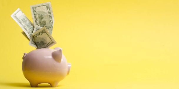 Piggy bank and golden coin. Savings and finance concept - Foto, Imagen