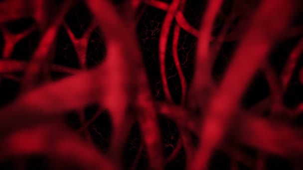 Ludzki układ krążenia z czerwonymi naczyniami krwionośnymi. Animacja serca. Koncepcja medyczna. Żyła i tętnica. Krążenie. Puls wewnętrzny. Animacja pętli. - Materiał filmowy, wideo