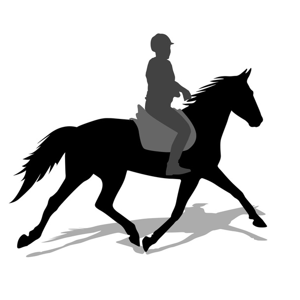 vektorová silueta koně a žokeje - Vektor, obrázek