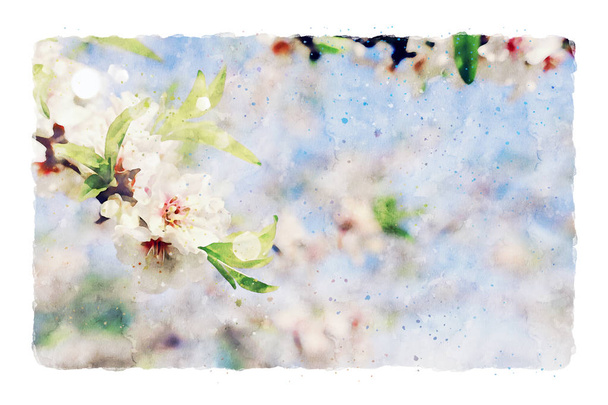 watercolor style and abstract image of cherry tree flowers - Фото, зображення