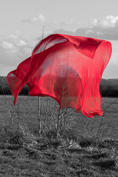 Ein rotes Tuch schwebt am Feldrand. - Foto, Bild